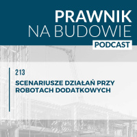 Scenariusze działań przy robotach dodatkowych #213