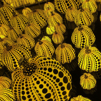 Interview: Rufus Wainwright Prima Donna, Marie Laurberg on Yayoi Kusama - in English and in French