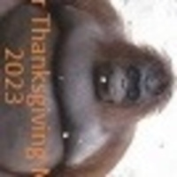 November 2023 part three