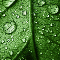 October 2025 part two