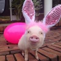 April 2025 part three Easter Weekend