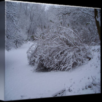 February 2021 part 4