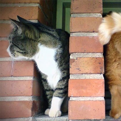 Djcky - Jeffery Scott