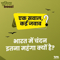 एक सवाल, कई जवाब: भारत में चंदन इतना महंगा क्यों है? Why is sandalwood so expensive in India?