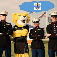 Houston SaberCats #CatScratchFever