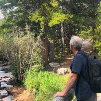 Rise Before the Gray Headed (Genesis 45)