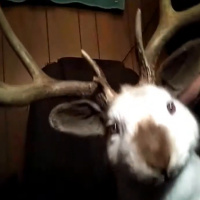 California’s Tectonic Slime Trail