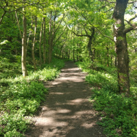 Dear God (A Prayer),