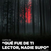 Qué fue de ti lector, nadie supo... Carta 06