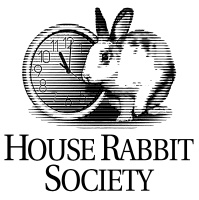 HRS Podcast #12 An interview with Educator Jody Springborn about bonding