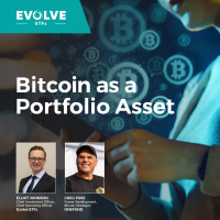 Bitcoin as a Portfolio Asset