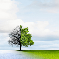 JP [Jour 7] - Une nouvelle vision | Fabien Boinet