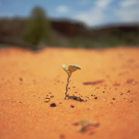 La résurrection une puissance pour aujourdhui - Fabien Boinet