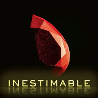 Inestimable - 01 - Découvrir le véritable trésor - Fabien Boinet