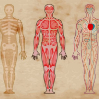 La puissance de la resurrection et notre corps - Fabien Boinet
