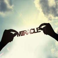 Les miracles de Jésus - Thomas Bertrand