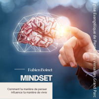 Mindset: Comment ta manière de penser influence ta manière de vivre | Fabien Boinet