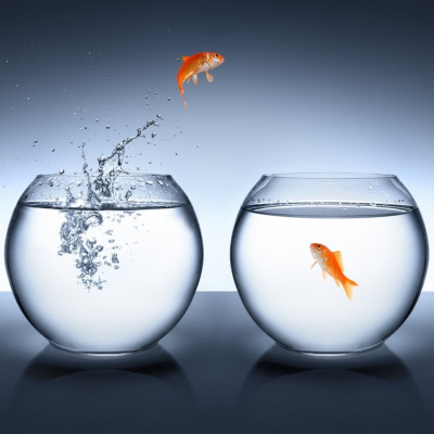 Eglise Evangélique Versailles Clagny - Le Podcast