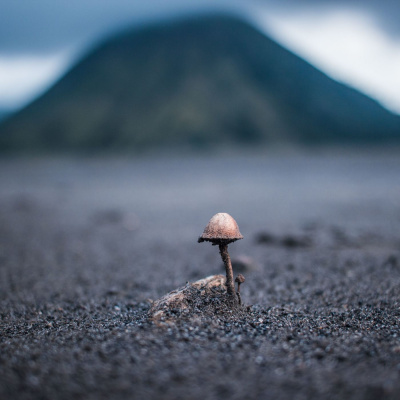 Eglise Evangélique Versailles Clagny - Le Podcast