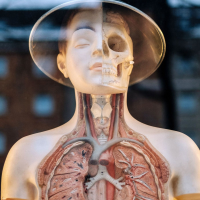 Eglise Evangélique Versailles Clagny - Le Podcast