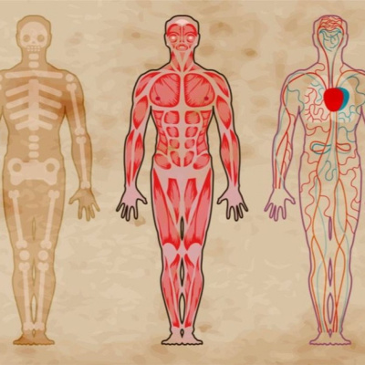 Eglise Evangélique Versailles Clagny - Le Podcast