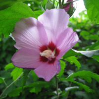 Operatore del benessere: chiariamo bene la differenza tra autopromozione e truffa