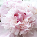 Maaike  Maartje Podcast