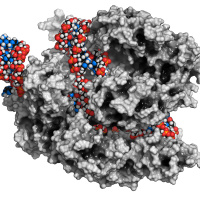 CRISPR use in agriculture: Part 1