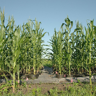 Pnas Science Sessions