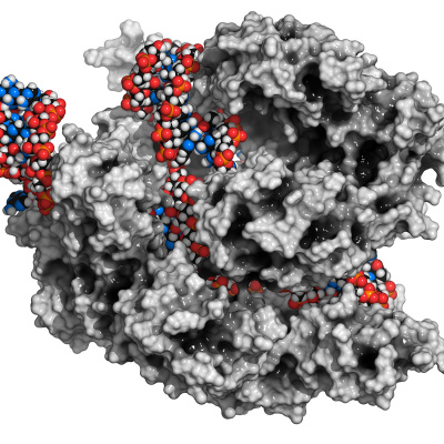 Pnas Science Sessions