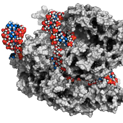 Pnas Science Sessions
