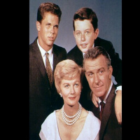 Memorable TV Moms amp Dads