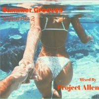 Summer Grooves Vol 2