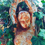 Sisterwives Of Hillman