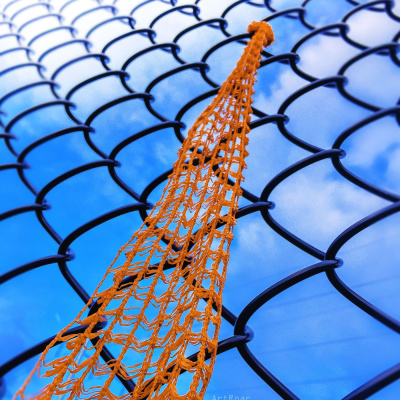 Siendo Una Flama Conciente, Solo Factos.