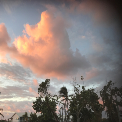 Dr. Shellie On Healthy Living Radio