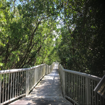 Dr. Shellie On Healthy Living Radio