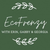 EcoFrenzy: Vintage Finds and Seaweed Solutions
