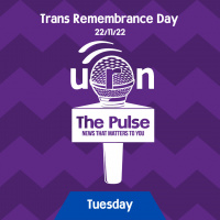 S3 Ep8: The Pulse - 22/11/22