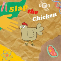 S2 Ep2: 9 - Dodo Airways