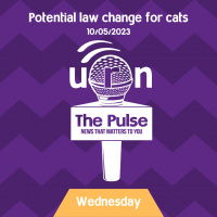 The Pulse - 10/05/23