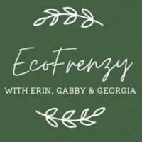 S3 Ep6: EcoFrenzy: Quizzes, Kings and COP 