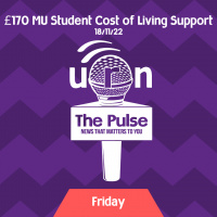 The Pulse - 18/11/22