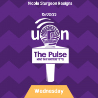 The Pulse - 15/02/23