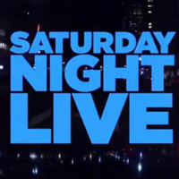 SNL new cast - finding your comedy lane 