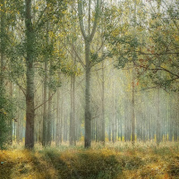 Estudiantes de la Universidad de Deusto ganadoras del reto 0a6 4 University de IBM