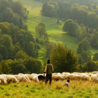 Vallados virtuales para la Ganadería 4.0