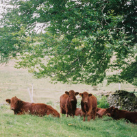 Nuevas tecnologías para la agricultura, la ganadería y la pesca