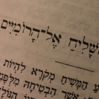 Iggeret to the Romans 3.13-31