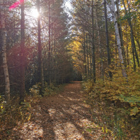 S2. EP.5 Ft.Andrea (Living with Love) 